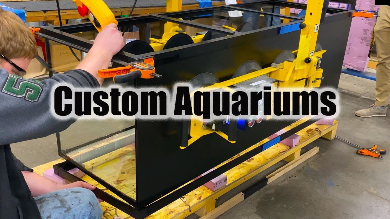 Aquarium Fish Tank industry insight