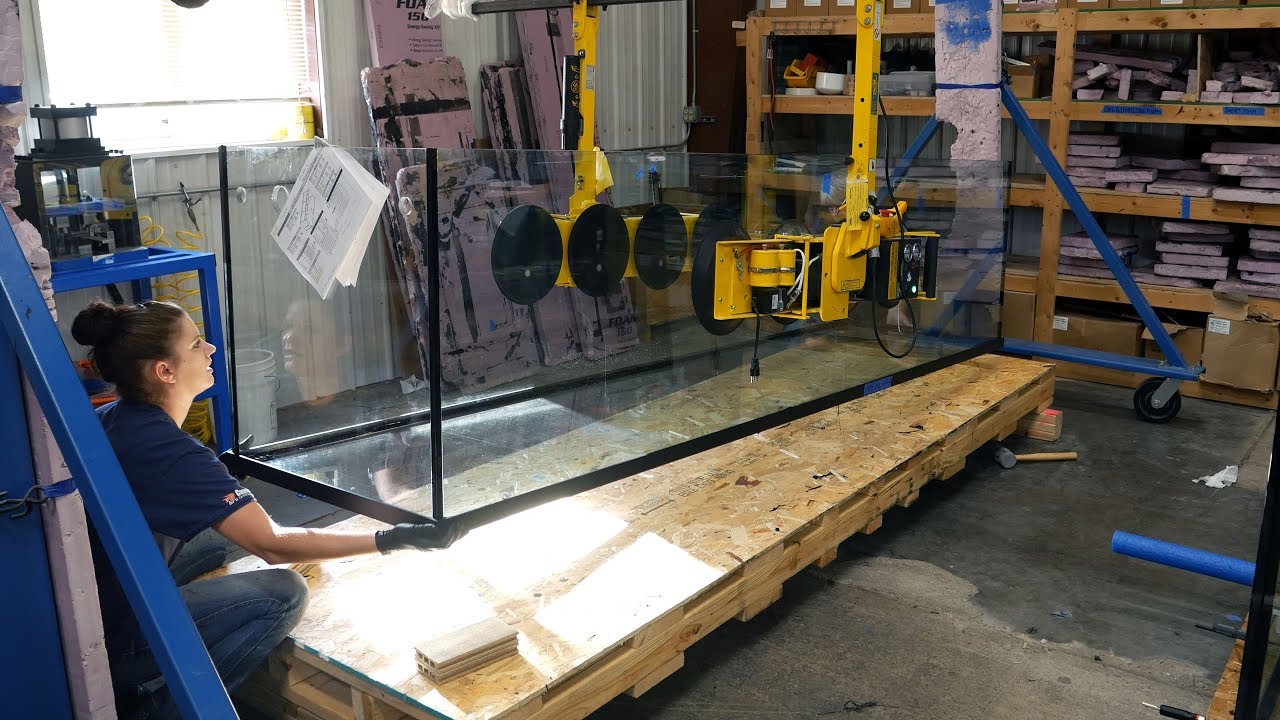 Aquarium industry insight