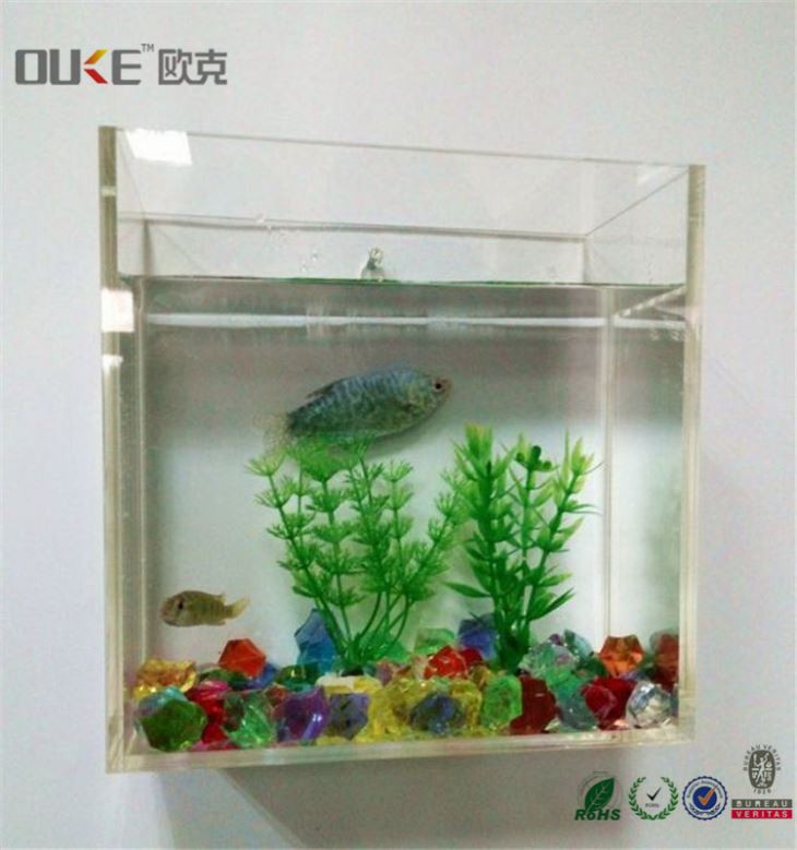 Aquarium Products
