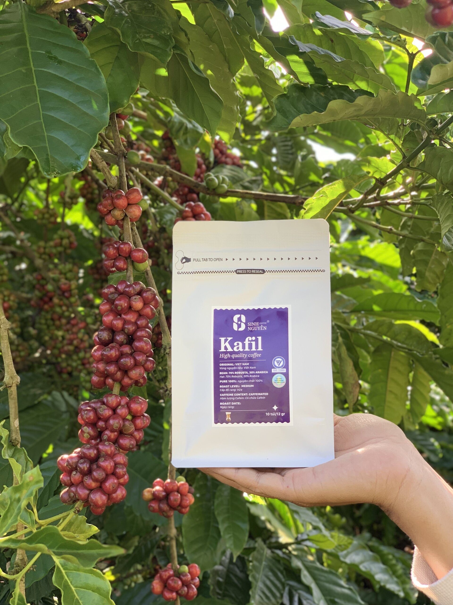 Arabica Coffee Roasters