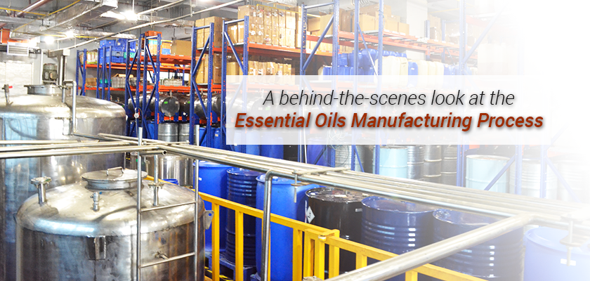 Aromatherapy Oils industry insight