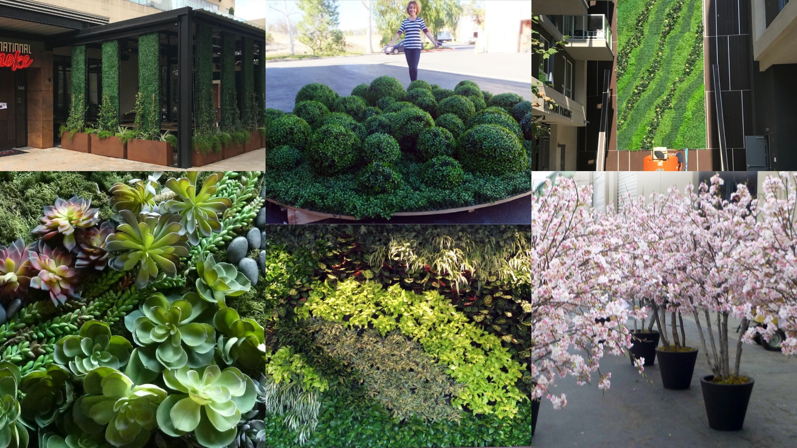 Artificial Plants