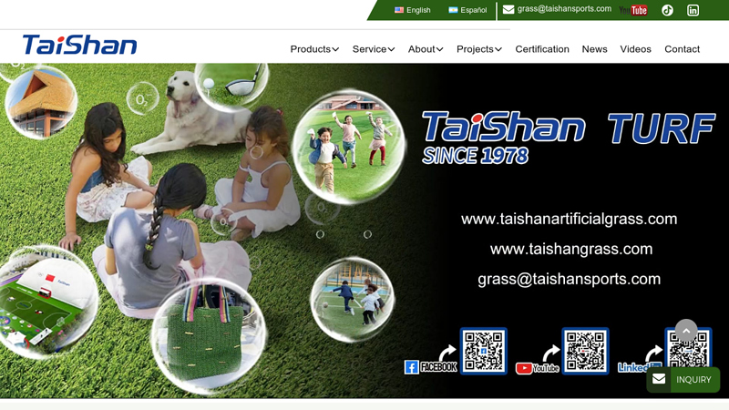 Artificial Turf