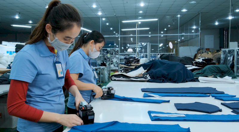 Athletic Apparel industry insight