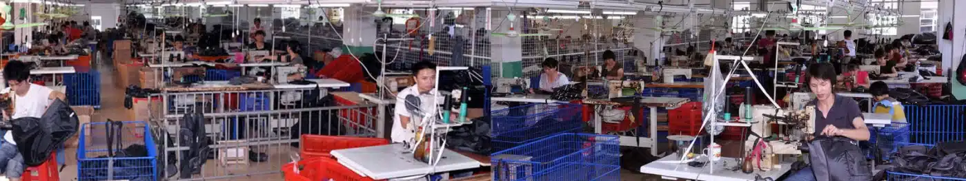 Backpack China industry insight
