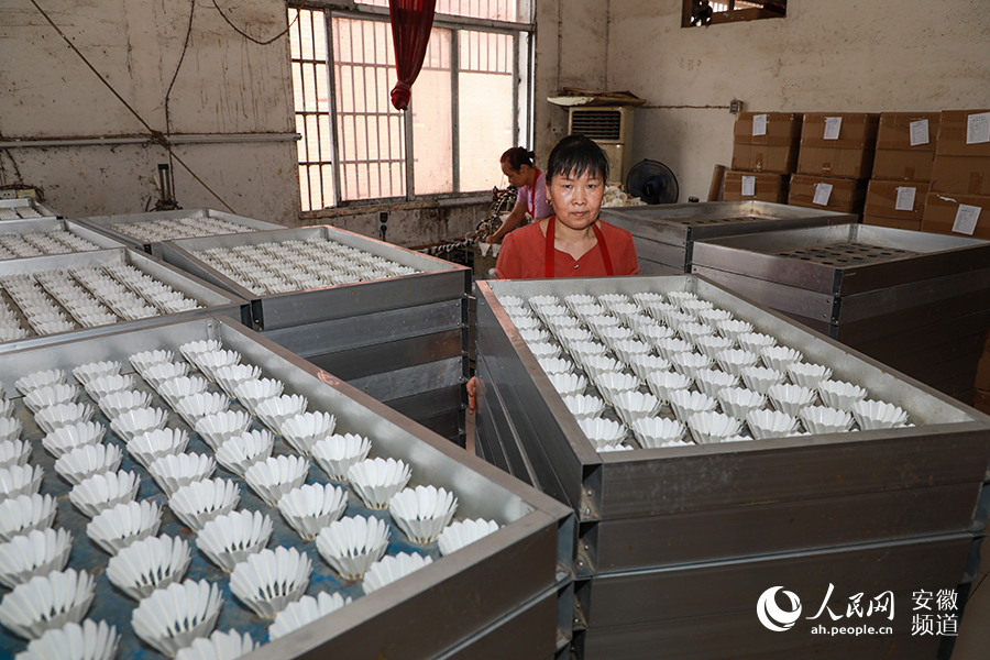 Badminton China industry insight