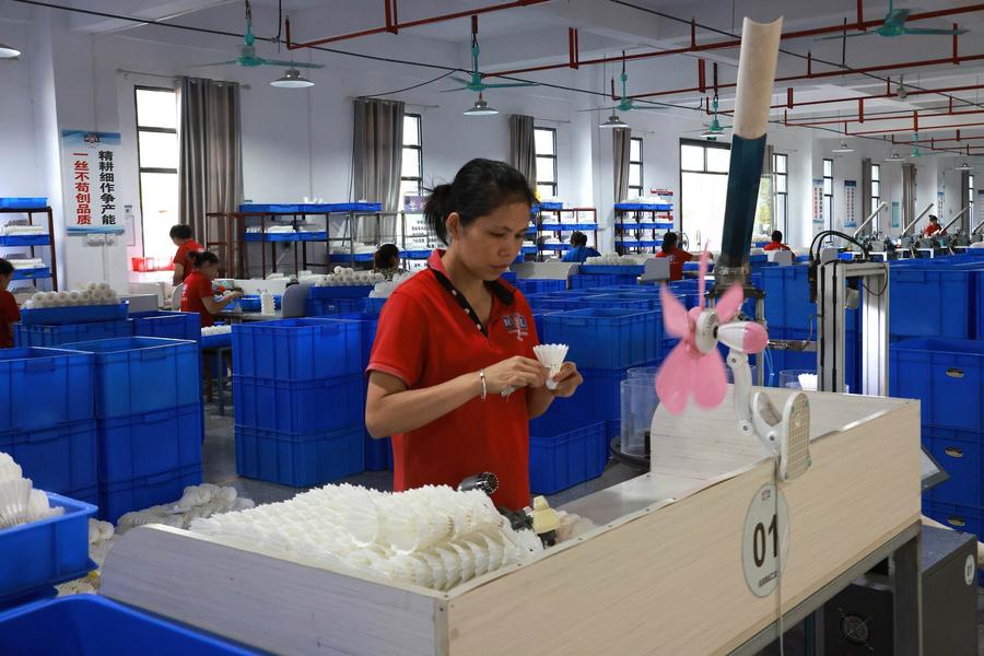 Badminton China industry insight