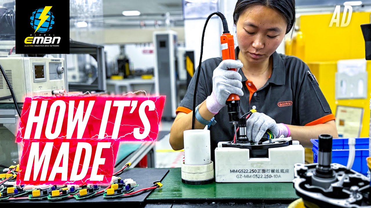 Bafang China industry insight