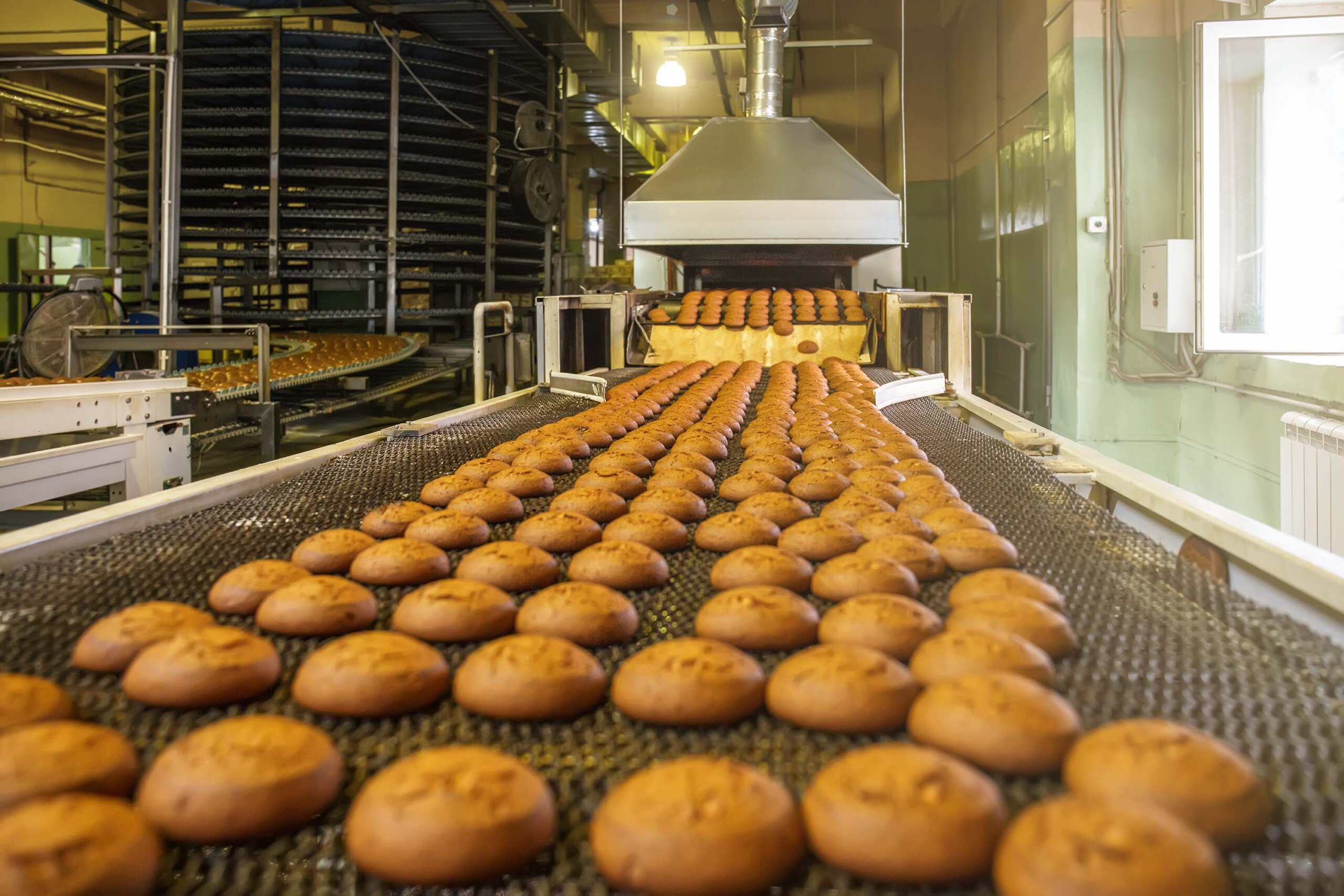 Bakery industry insight