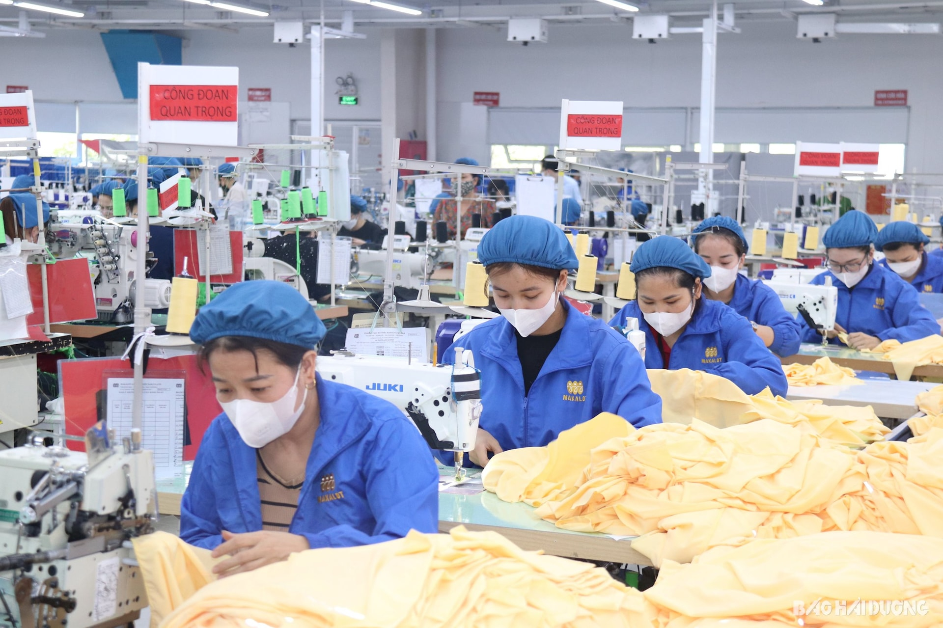Bamboo Pajama industry insight