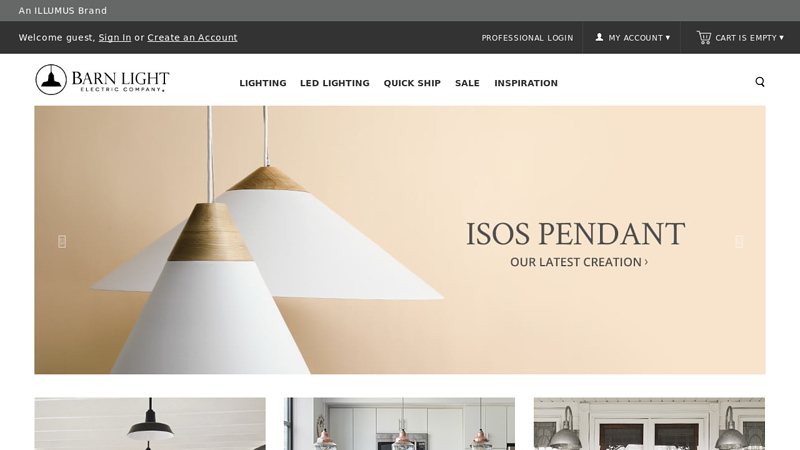 Barn Light Electric