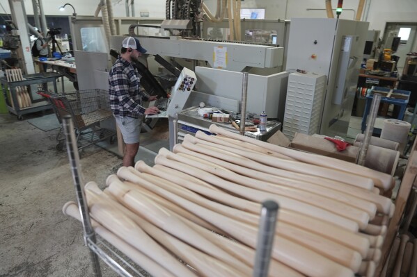 Baseball Bat industry insight