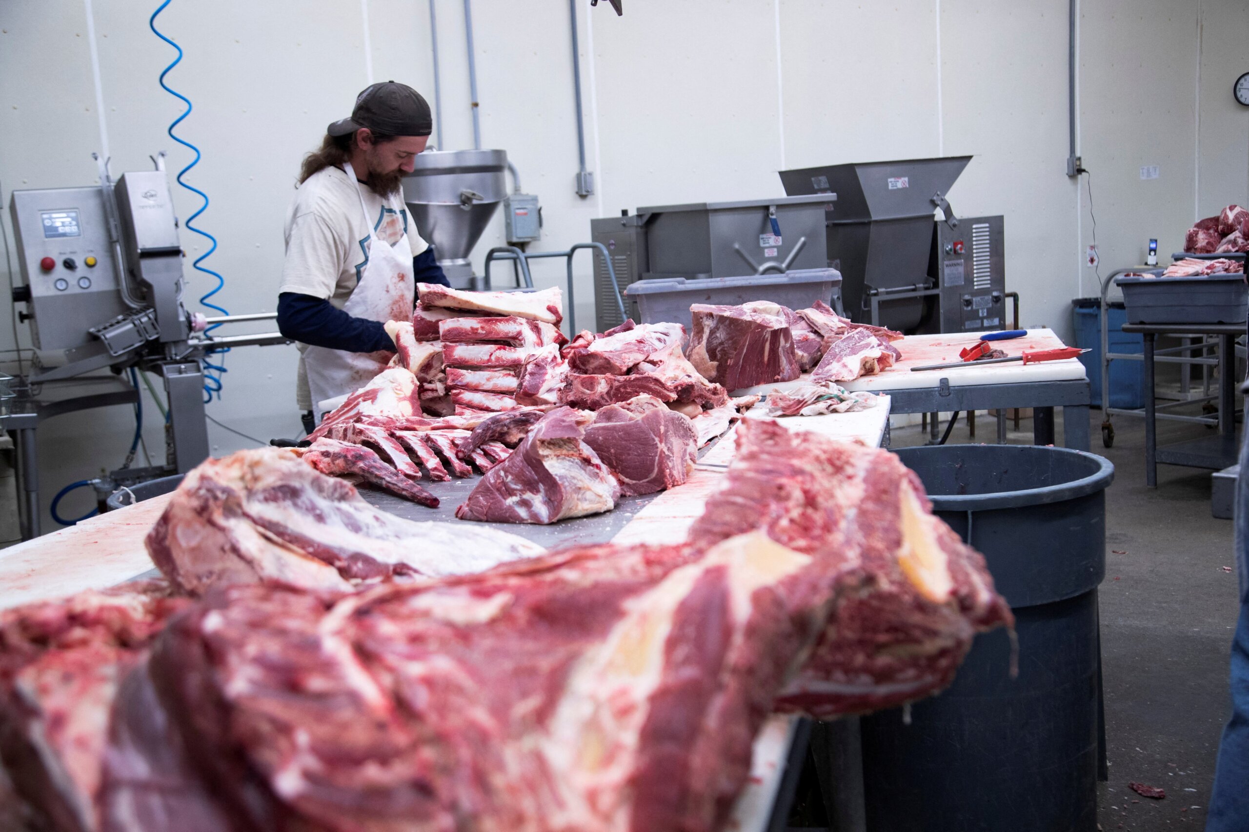 Beef industry insight