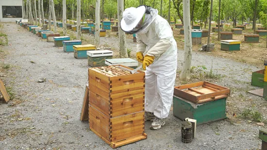 Beekeeping Supplies China industry insight