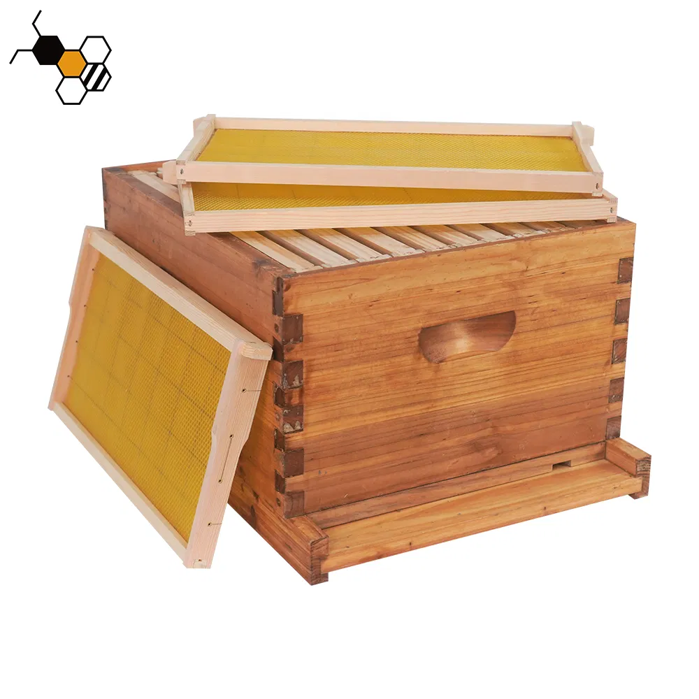 Beekeeping Supplies China industry insight