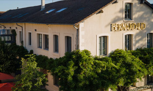 Bernardaud