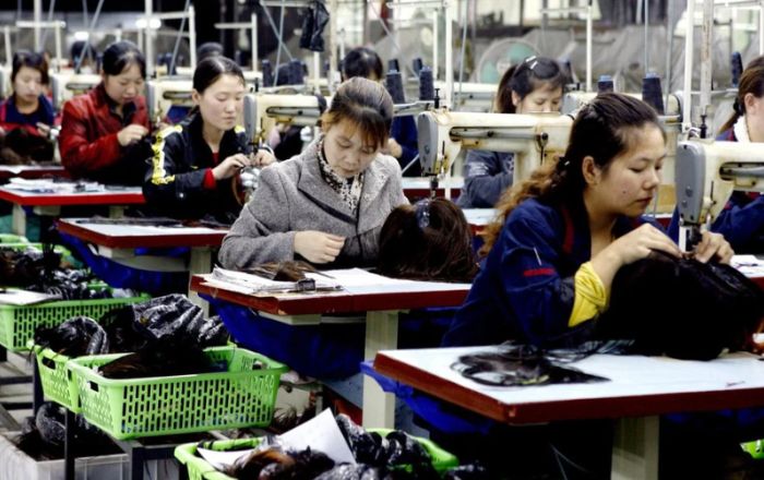Best Hair In China industry insight