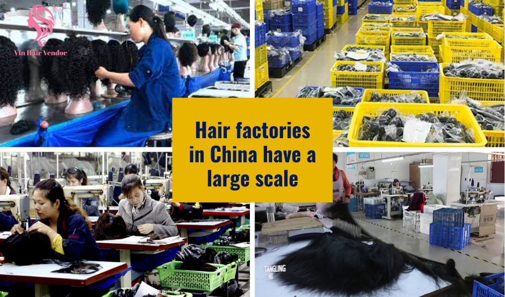 Best Hair In China industry insight