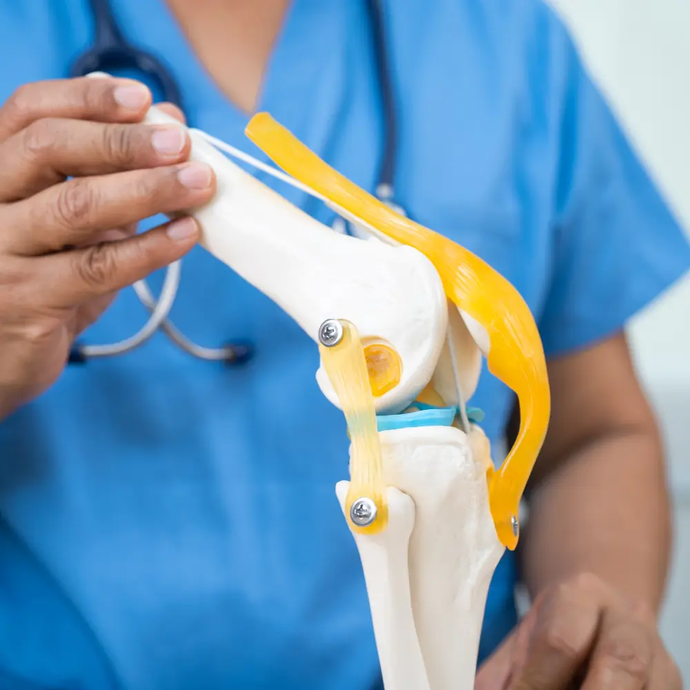 Best Knee Replacement industry insight
