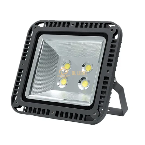 Best Outdoor Flood Lights
