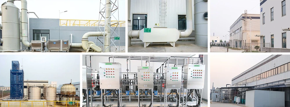 Best Pea Protein Powder China industry insight