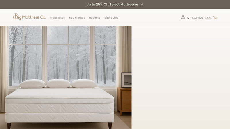 Big Mattress Co.®