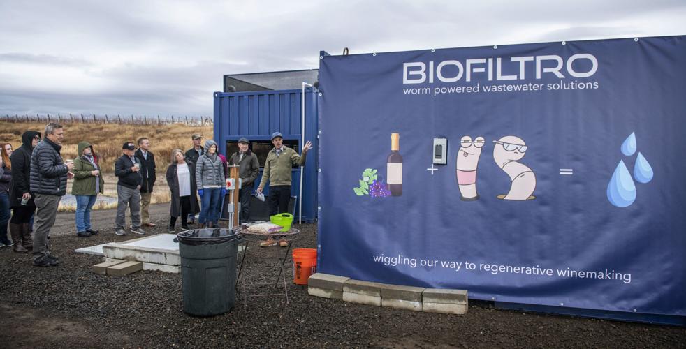 BioFiltro: Worm