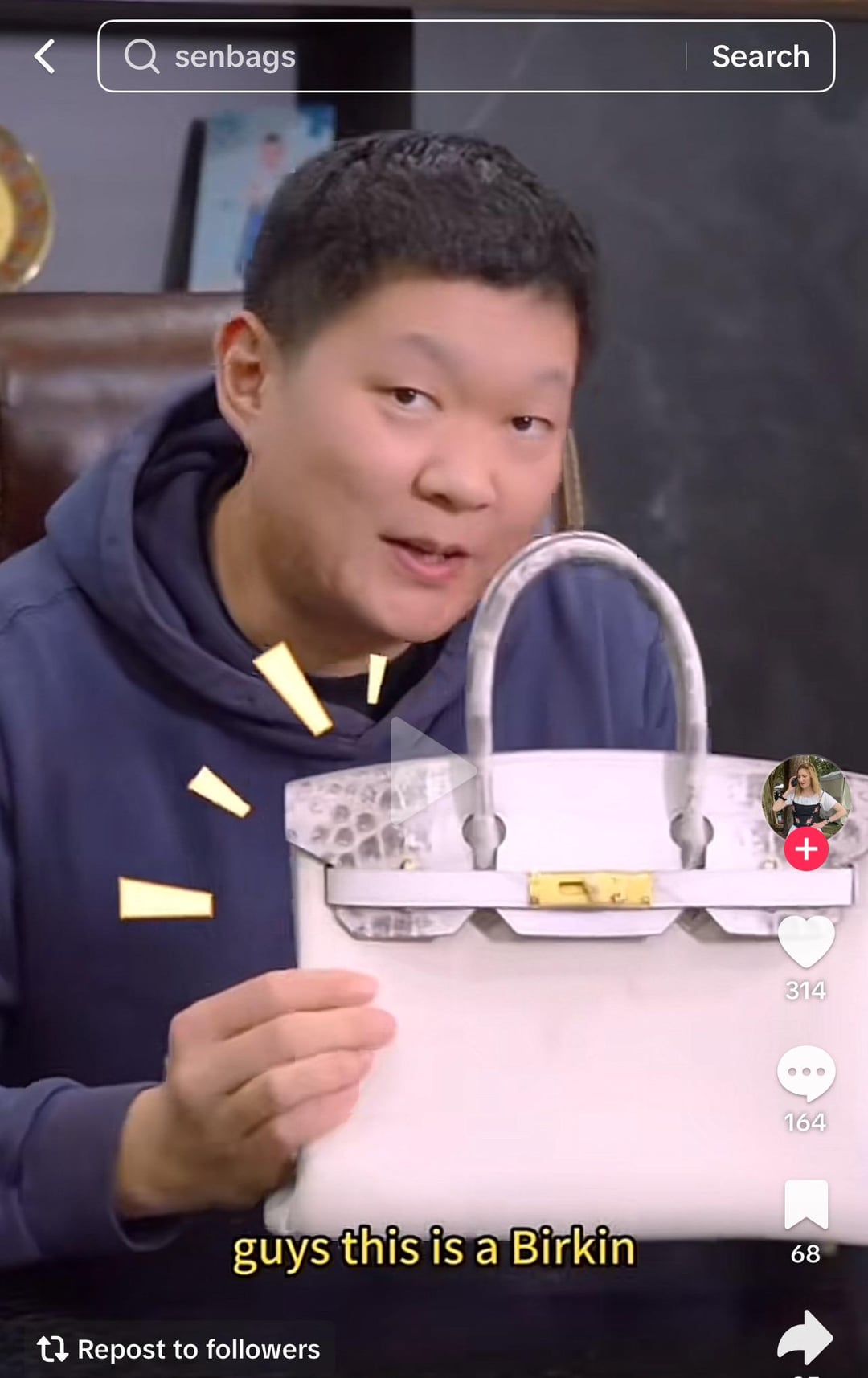 Birkin China industry insight