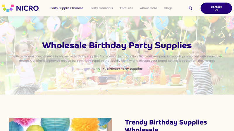 Birthday Party Supplies Manufacturer