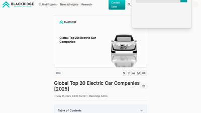Global Top 20 Electric Car Companies [2025]