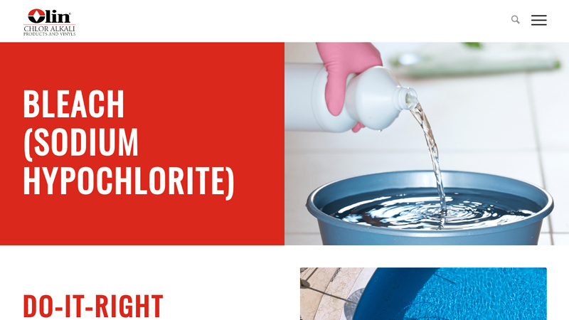 Bleach (Sodium Hypochlorite)
