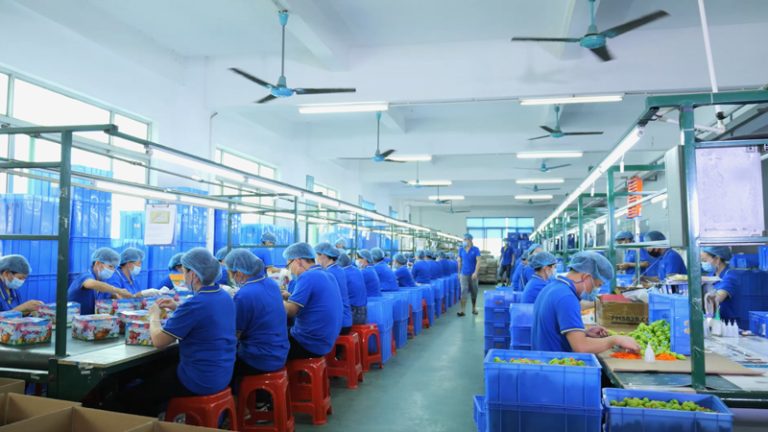 Blind Box China industry insight