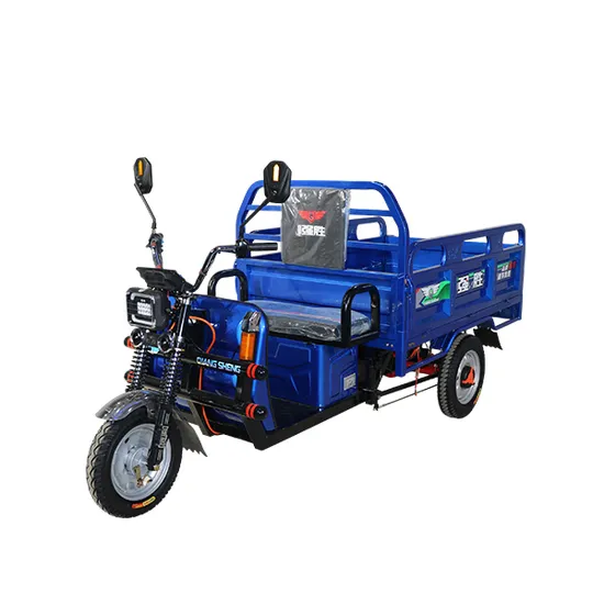 Blue Cargo Tricycles China industry insight