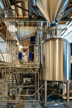 Blue Moon Beer industry insight