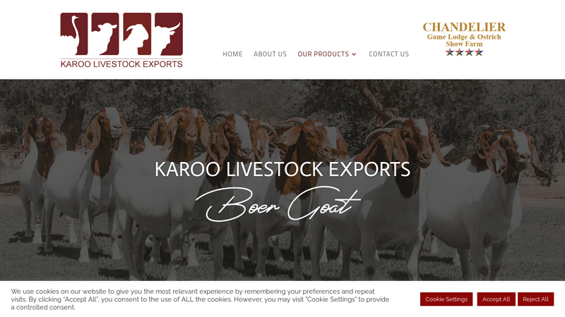Boer Goat Exports