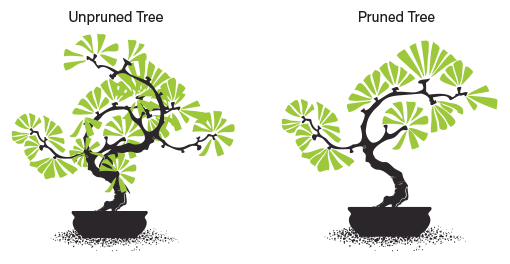 Bonsai Plant industry insight