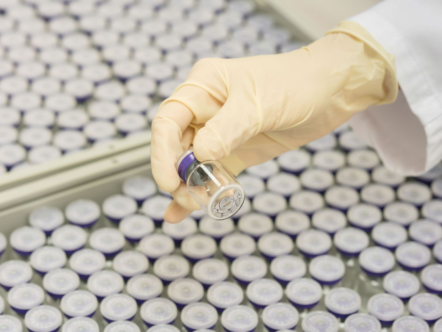 Botox industry insight
