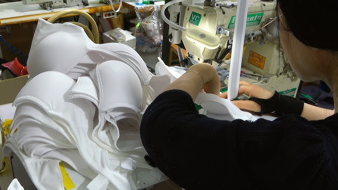 Bra industry insight