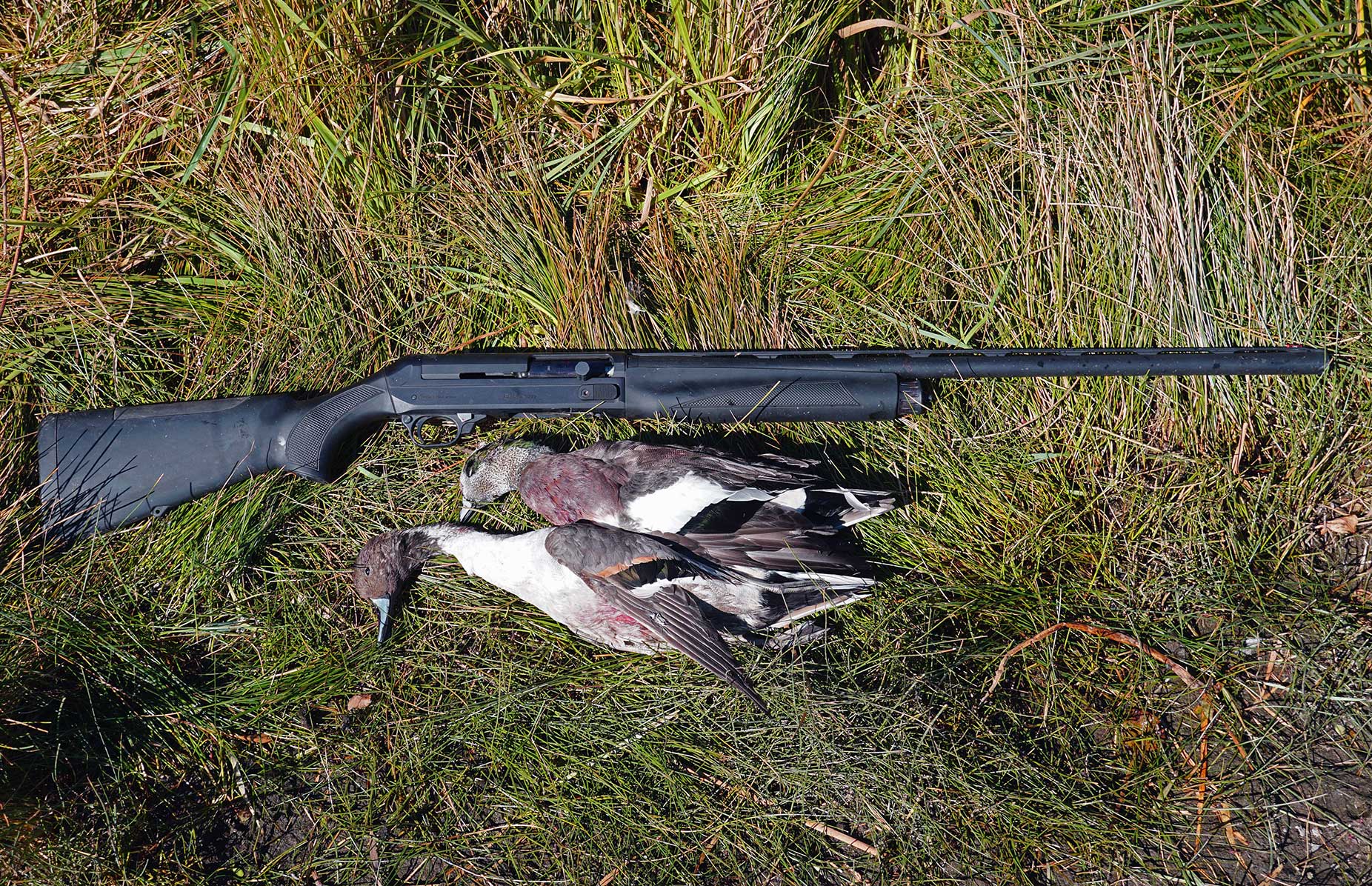 BREDA SHOTGUNS