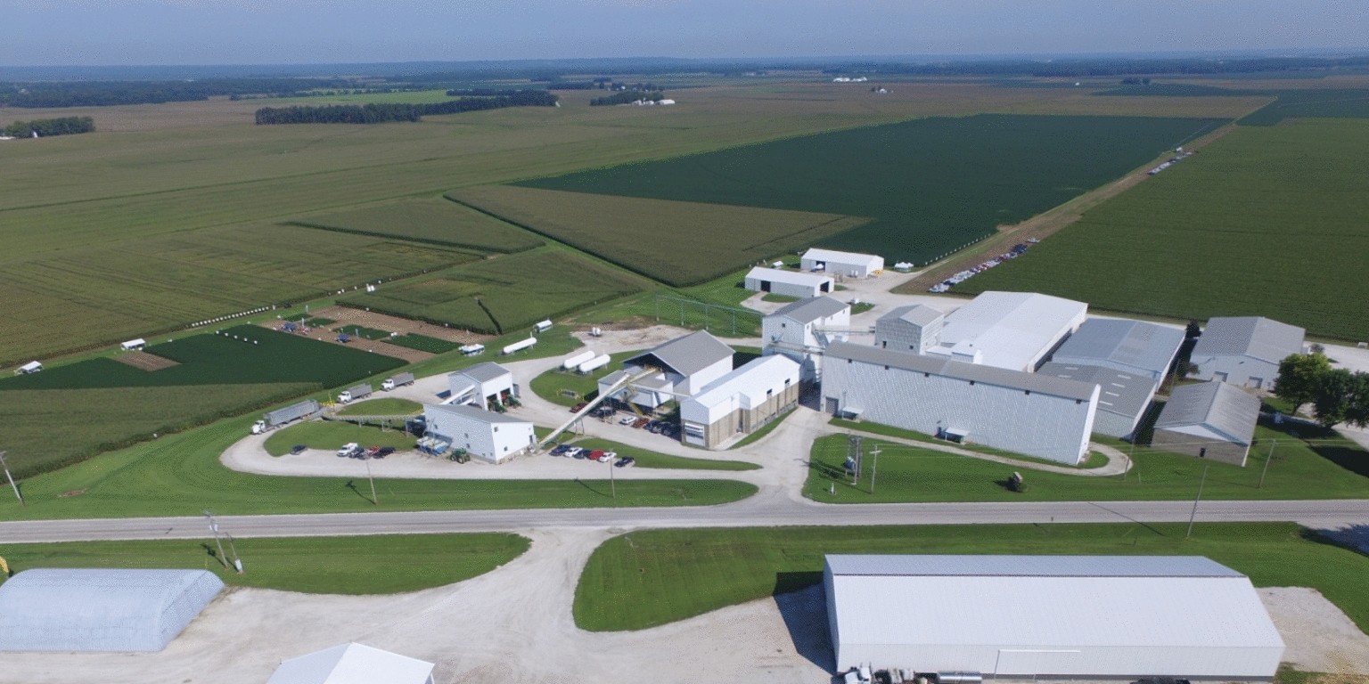 Burrus Seed