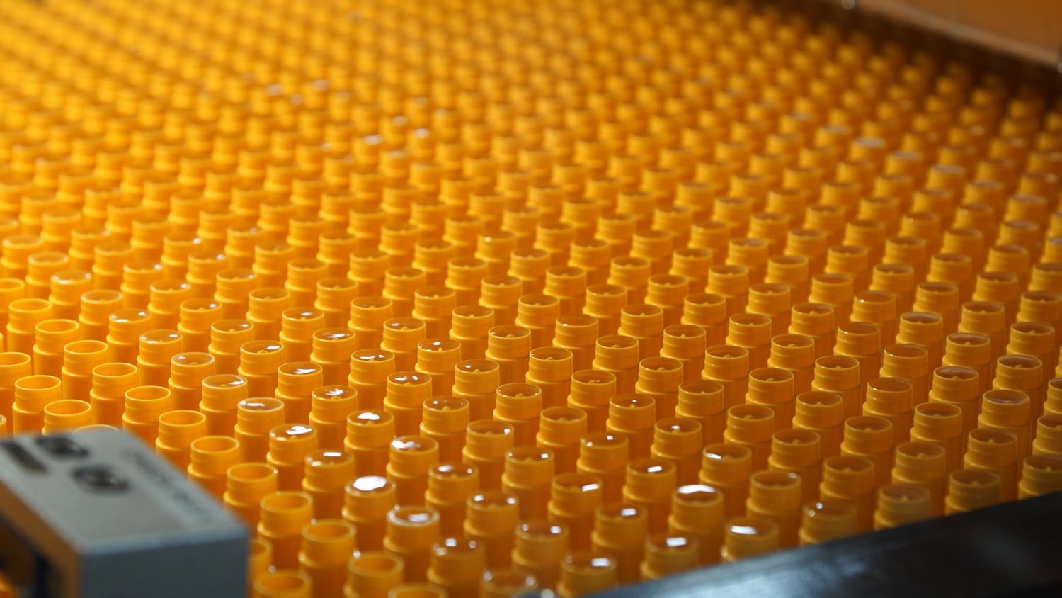 Burt'S Bees industry insight