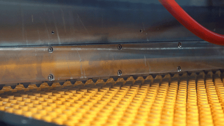 Burt'S Bees industry insight