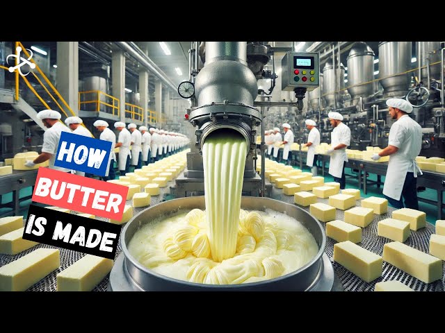Butter industry insight