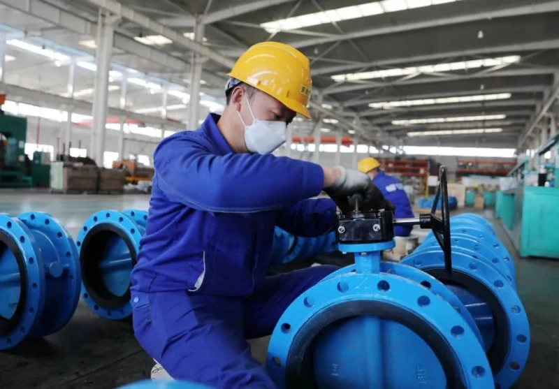 Butterfly Valve China industry insight