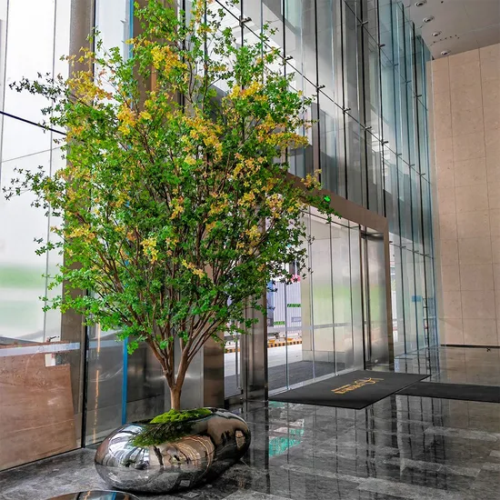 Buy Bonsai Trees