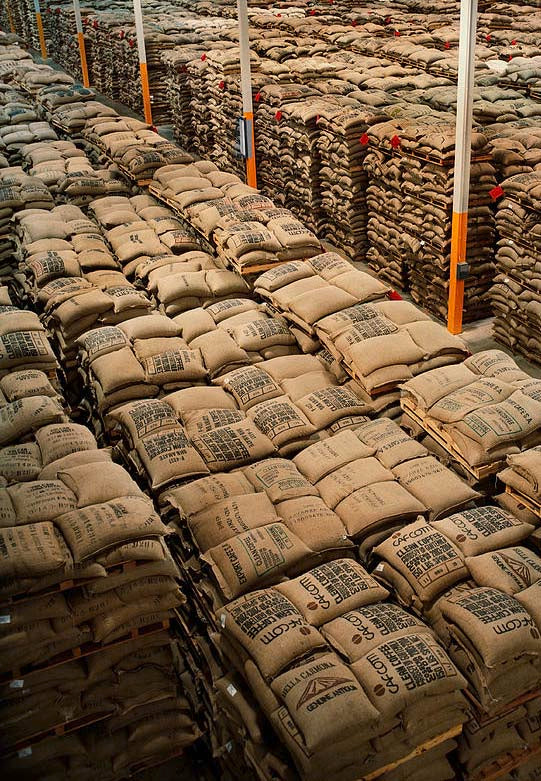 Buy Wholesale Coffee Beans Direct