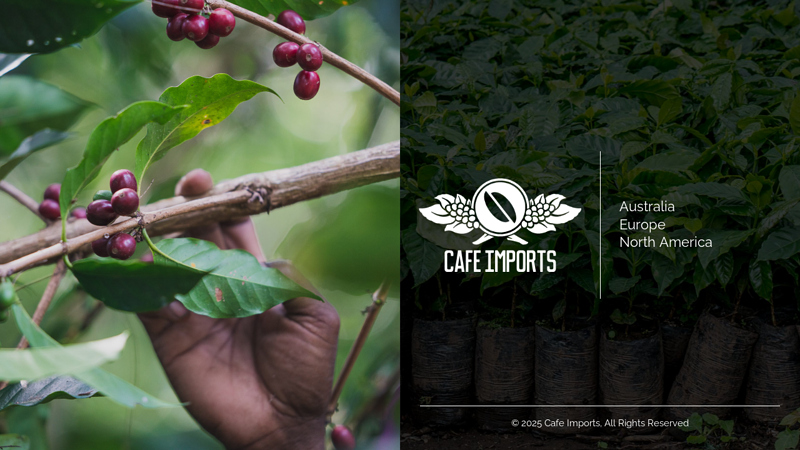 Cafe Imports