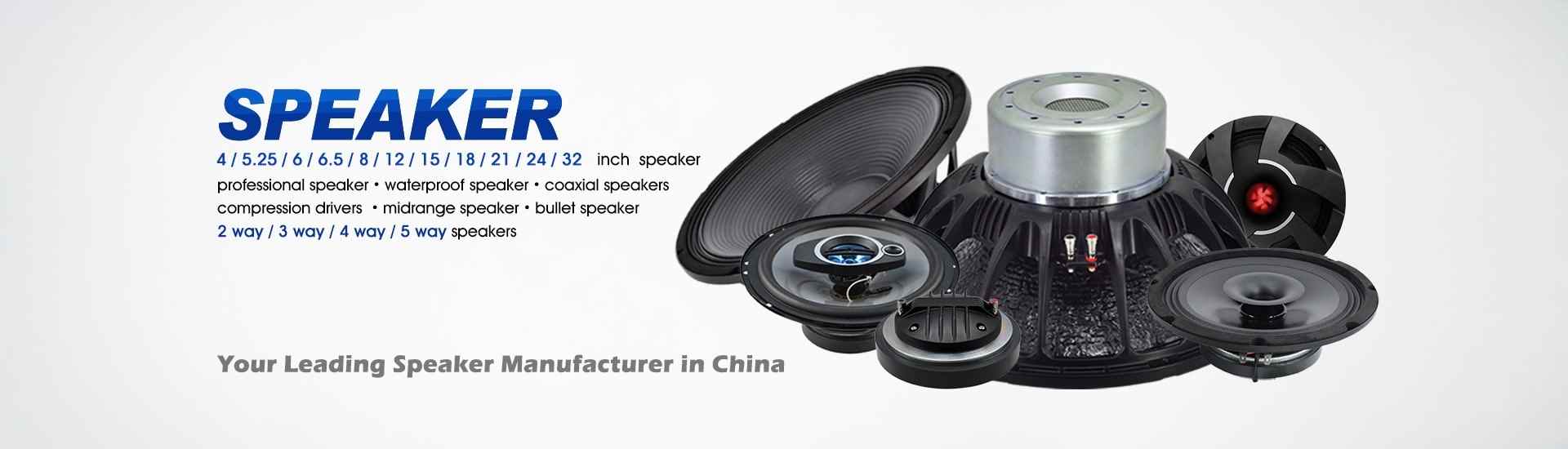Car Speaker Manufacturer and Supplier in China
