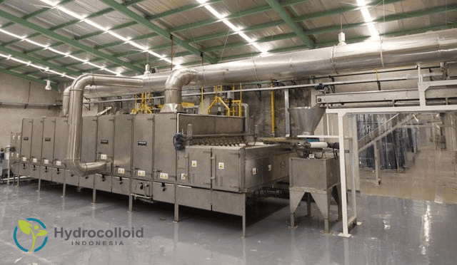Carrageenan industry insight