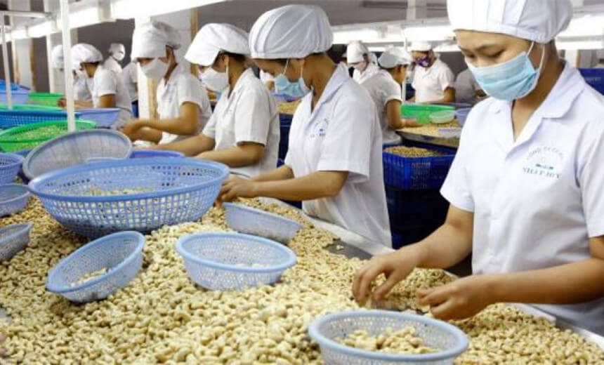 Cashew Ingredients industry insight